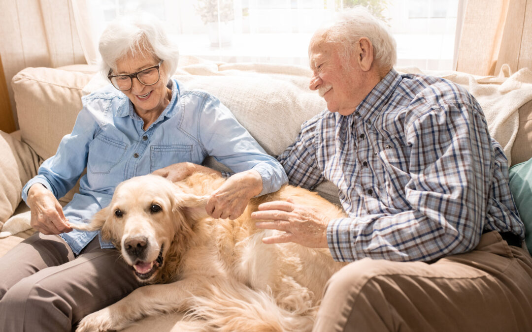 November is National Pet Cancer Awareness Month